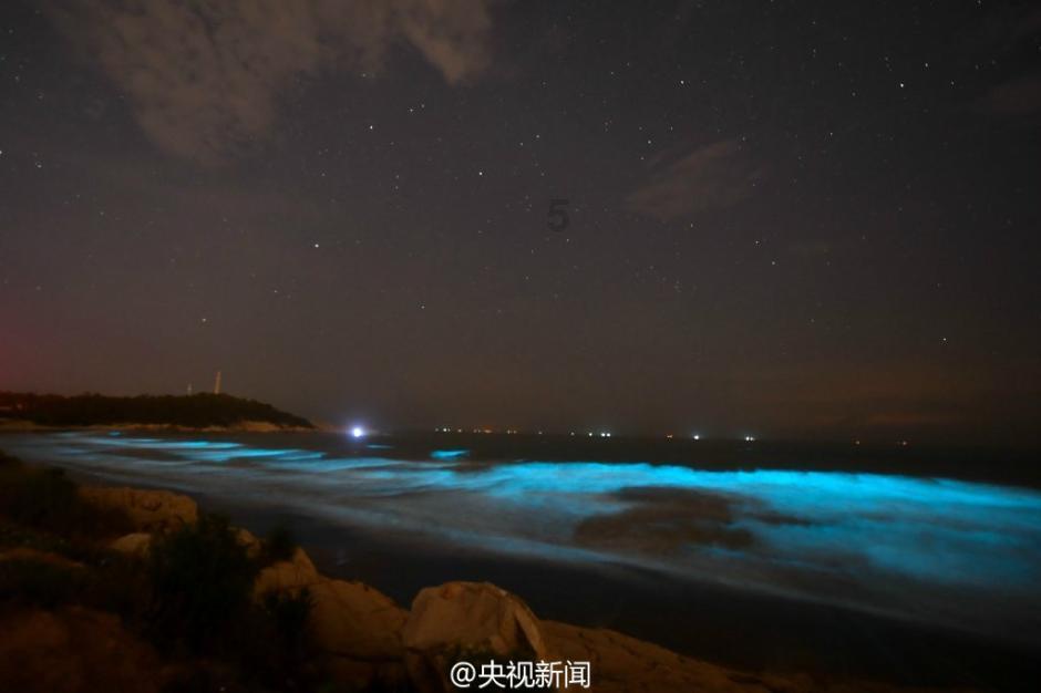 小猫钓鱼游戏龙王版有船